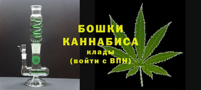 Бошки марихуана Amnesia  дарнет шоп  это какой сайт  Пучеж 